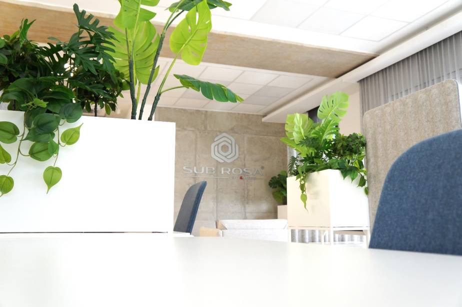 The Role of Coworking Spaces as Support for Freelancers and Remote Workers