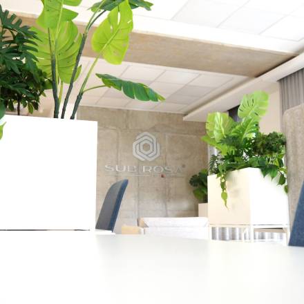 The Role of Coworking Spaces as Support for Freelancers and Remote Workers