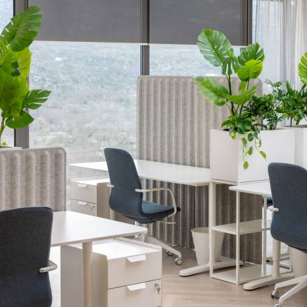 Virtual Office - Elevate Your Business Presence